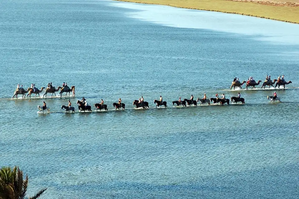 Balade à cheval à Djerba