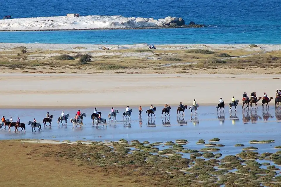 Balade à cheval à Djerba