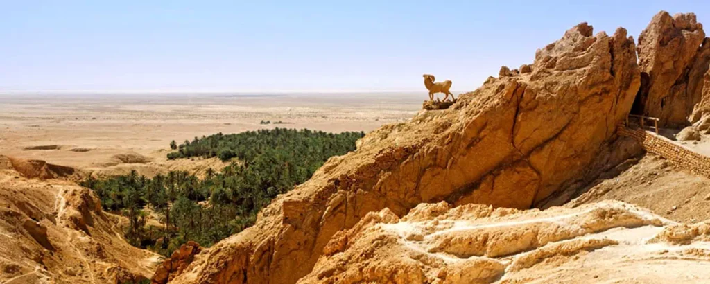 Les oasis de montagne de Chebika Tunisie