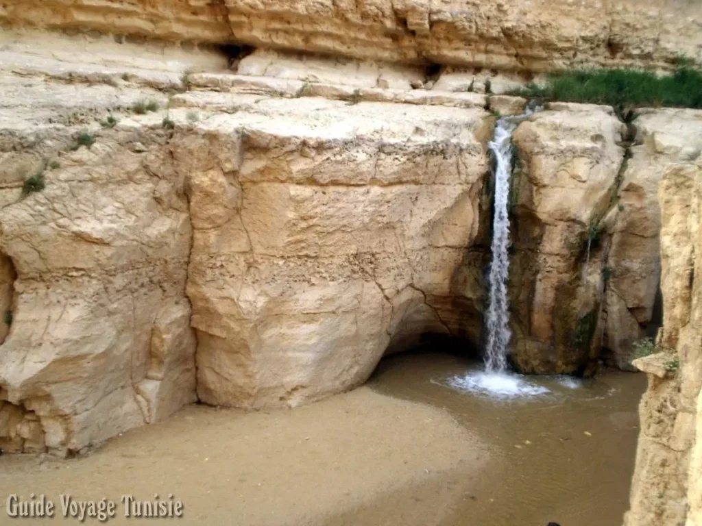 L'oasis de Tamerza