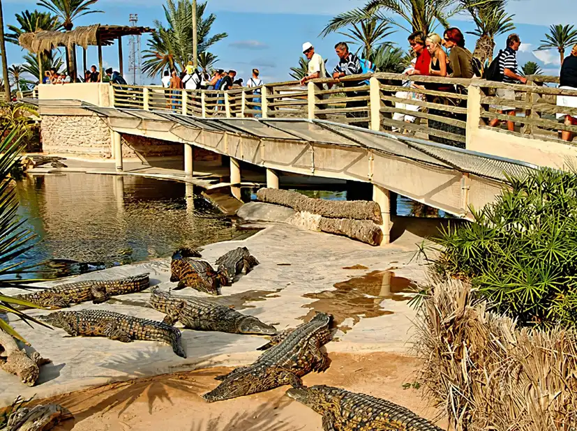 Djerba Explore : Le parc aux crocodiles