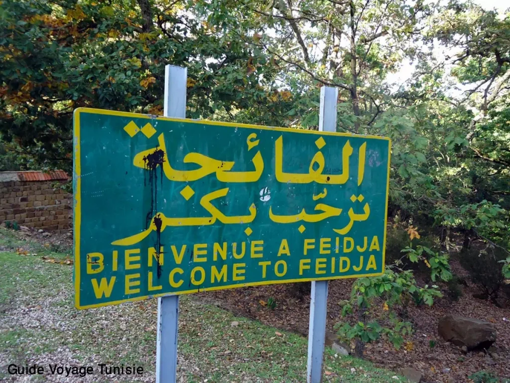 Le parc national d’El Feija Jendouba