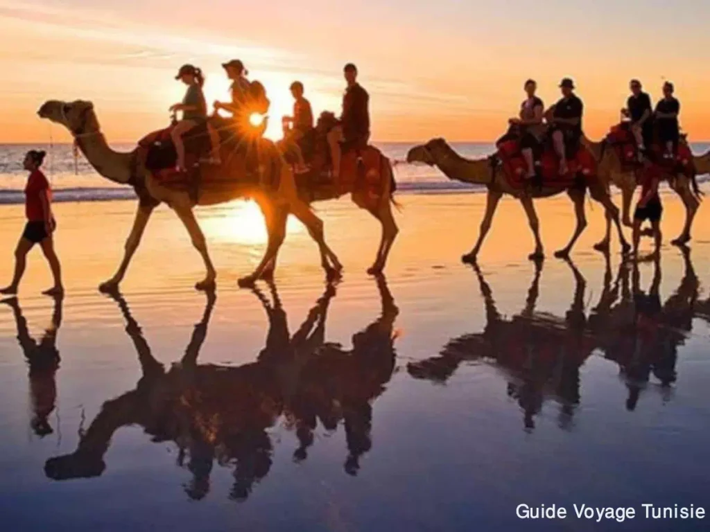 La séguia ou la lagune Midoun Djerba