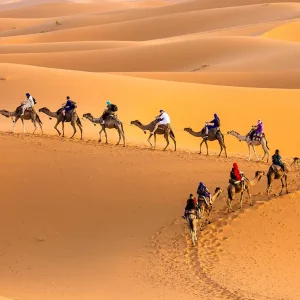 Camel Trek in Southern Tunisia