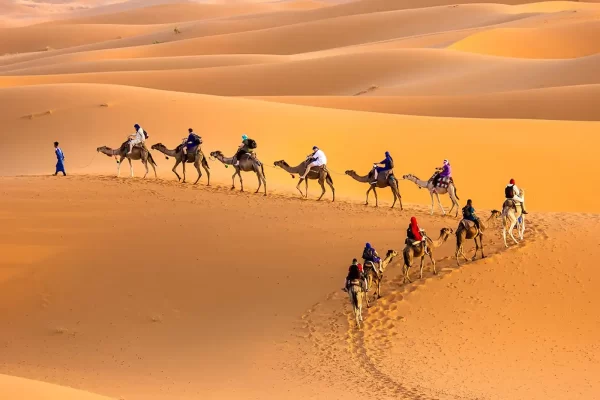 Camel Trek in Southern Tunisia