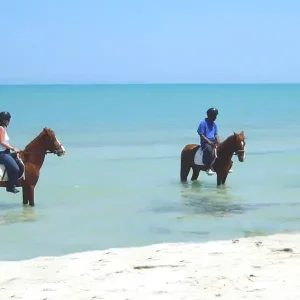 Horseback Riding in Djerba