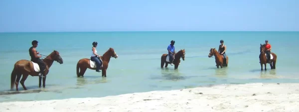 Horseback Riding in Djerba