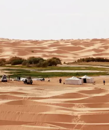 Tembaïne, the Magic of the Sahara