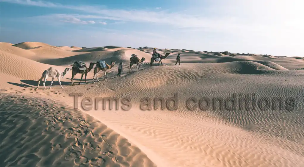 Terms and Conditions