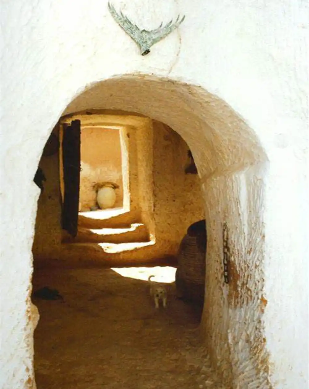 Giorno 4: Nella casa sotterranea e ritorno a Djerba