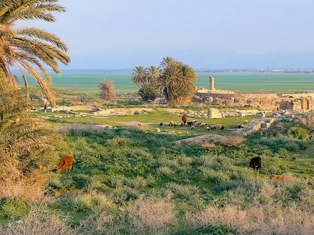 Bulla Regia Archaeological Site