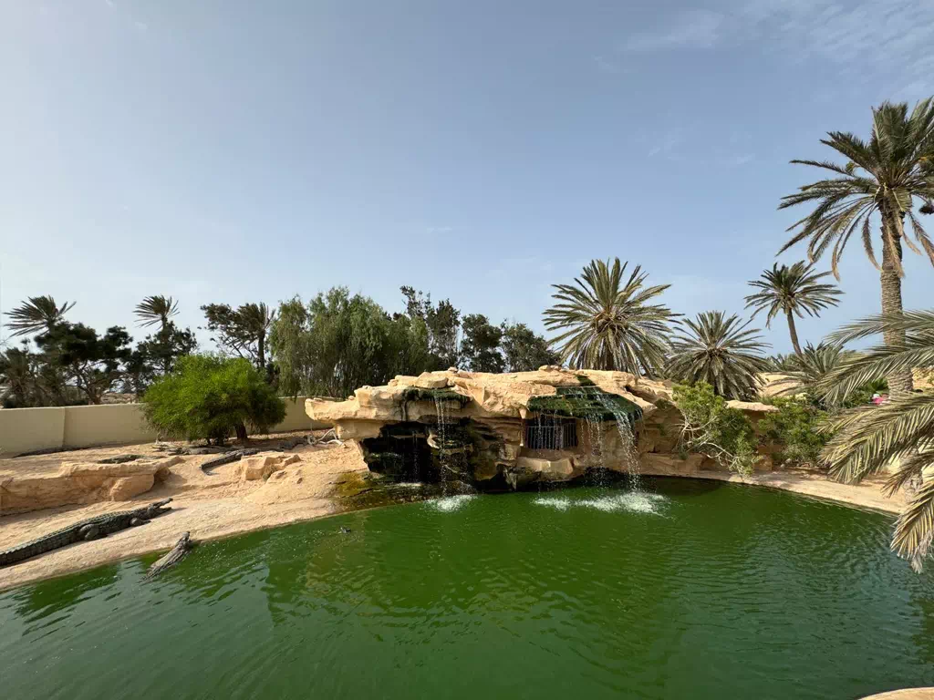 The crocodile Farm : Djerba Explore