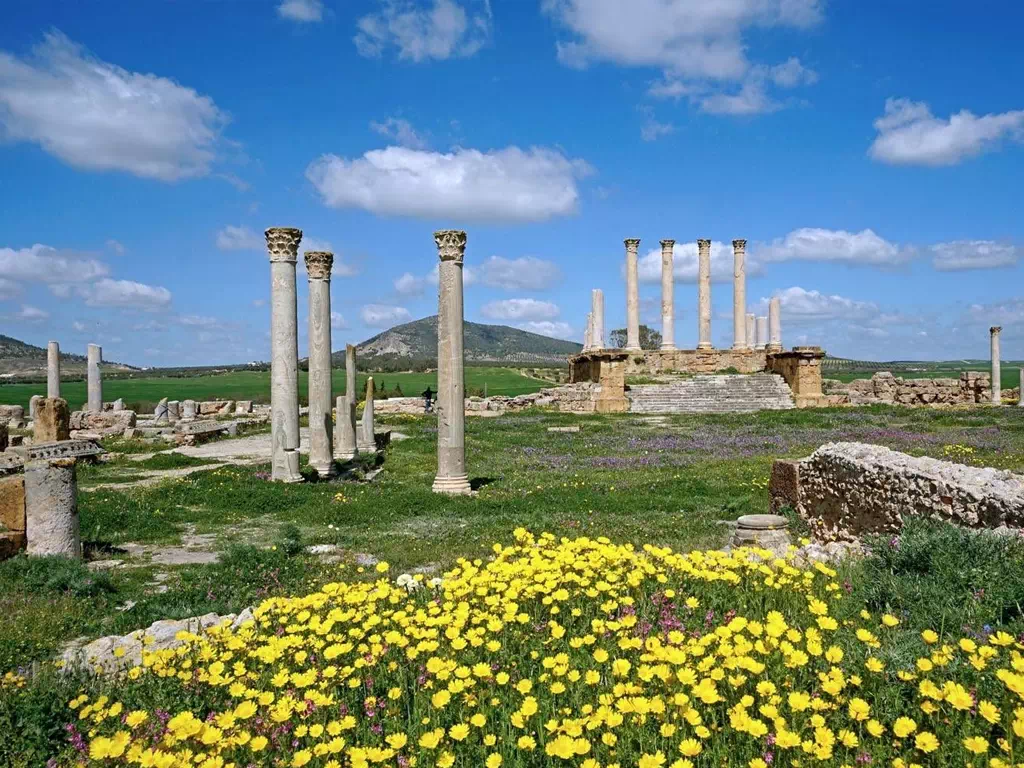 Thuburbo Majus Archaeological Site