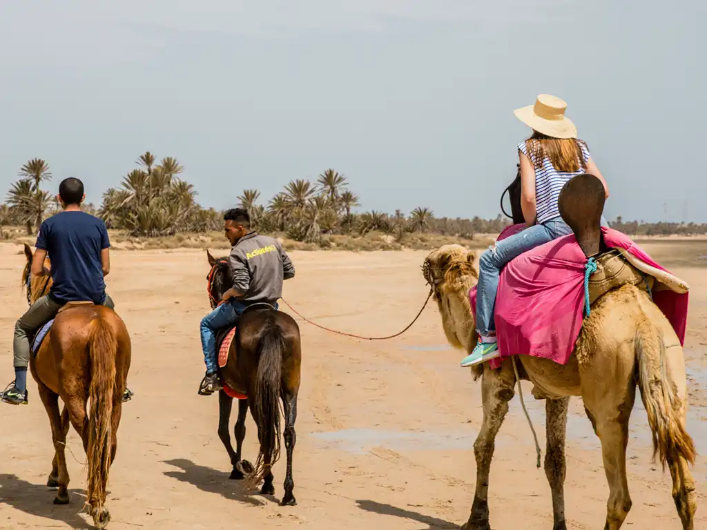 La caravane à Djerba : Partez à cheval et rentrez à dos de dromadaire