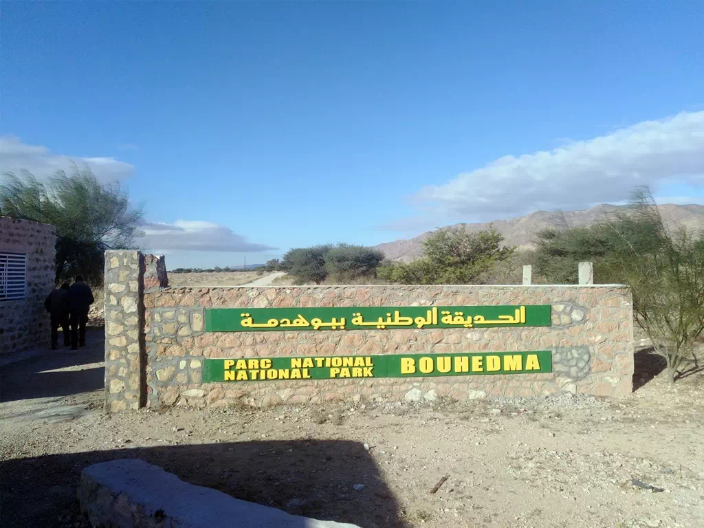 Bouhedma National Park