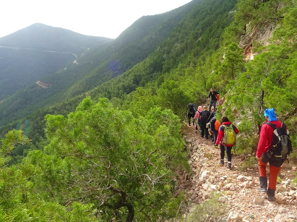 Randonnée en montagne