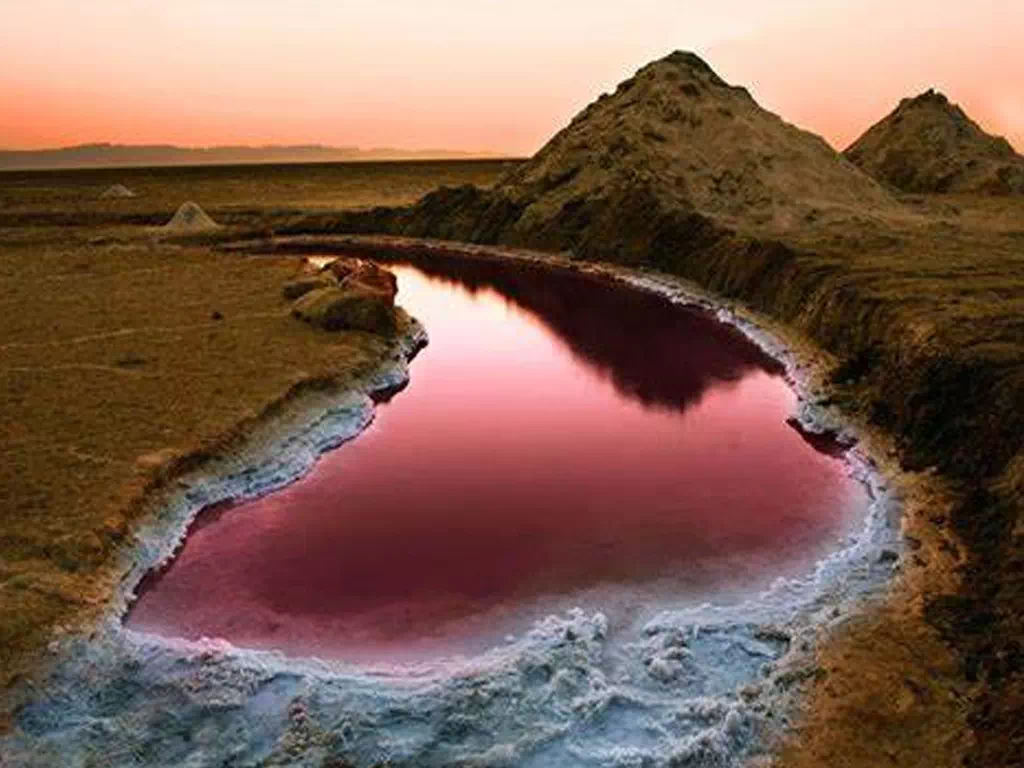 Chott Djerid Salt Lake