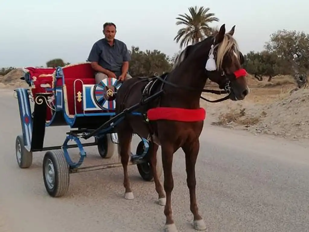 Midoun Market by Carriage