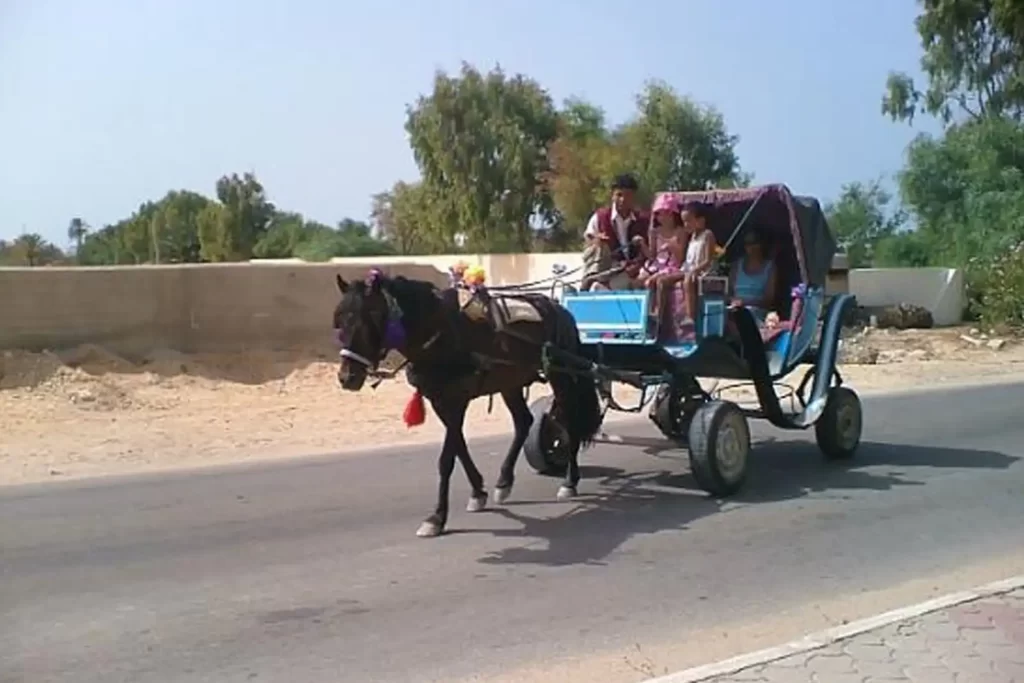 Midoun Market by Carriage