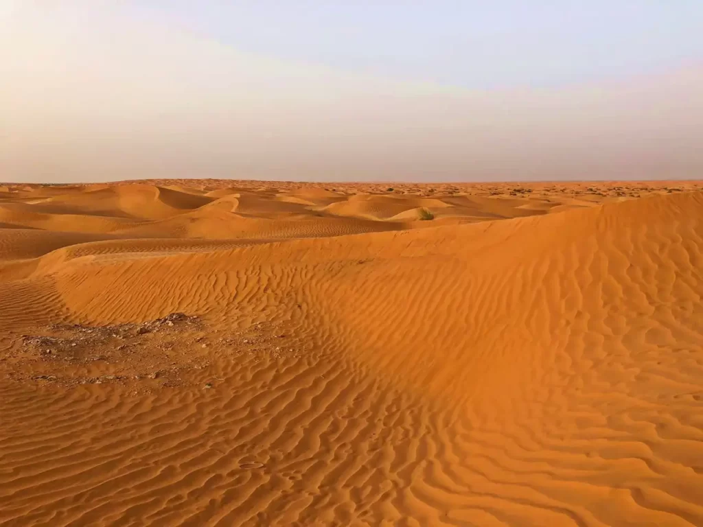 Ksar Ghilane oasis