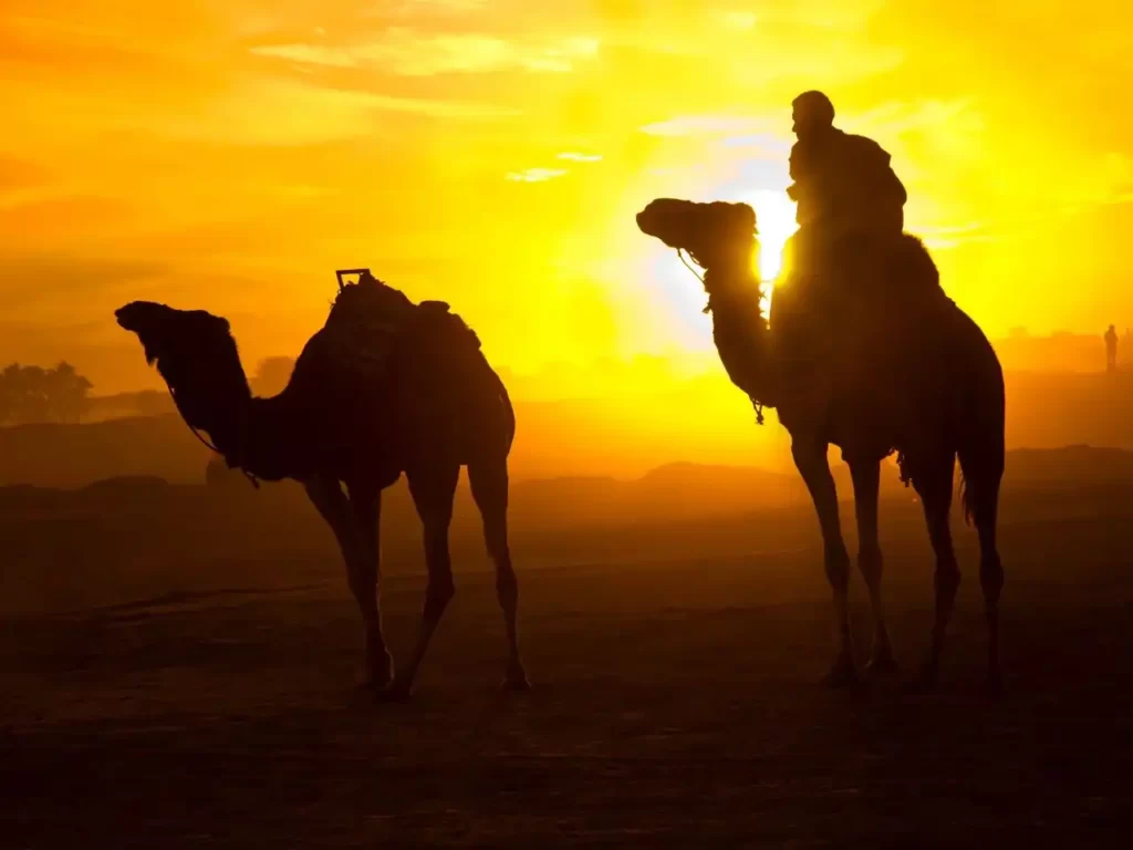 Tembaïne: Die Magie der Sahara