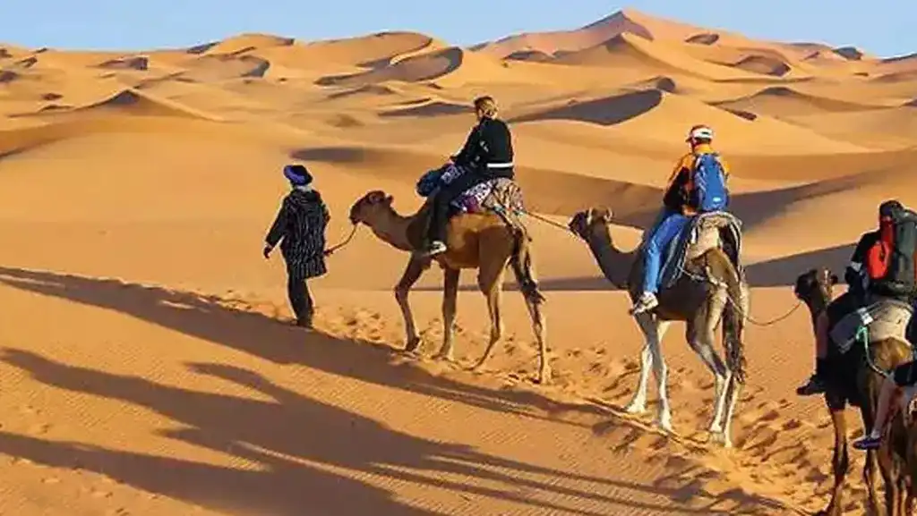 Camel Traek