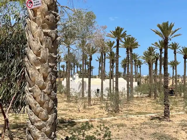 Djerba Authentic Experience
