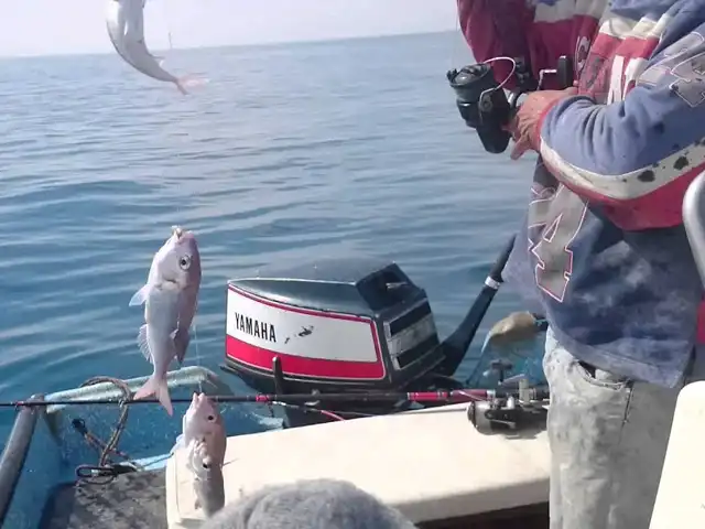 Fishing Trip in Djerba