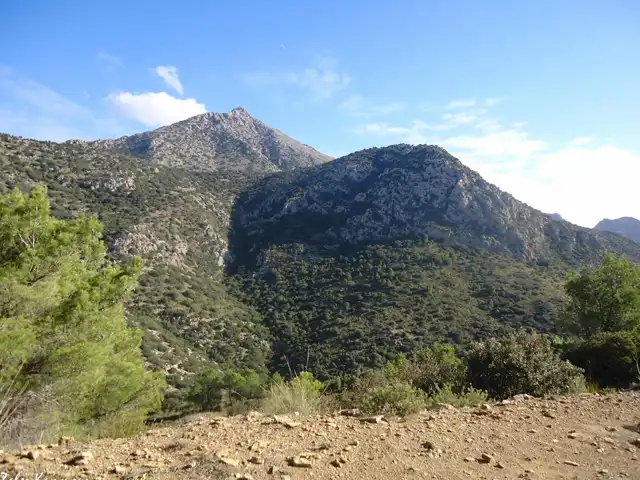 Jebel Zaghouan National Park