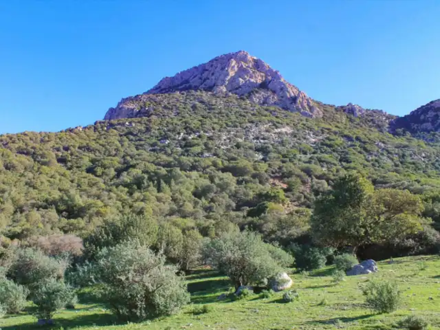 Jebel Zaghouan National Park