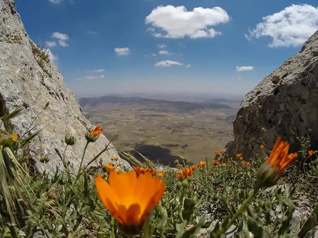 Jebel Zaghouan National Park