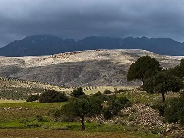 Jebel Zaghouan National Park