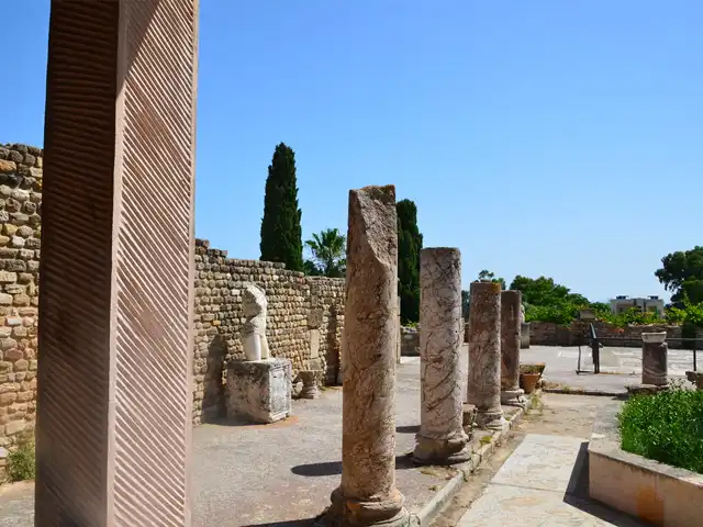 The Roman villas of Carthage