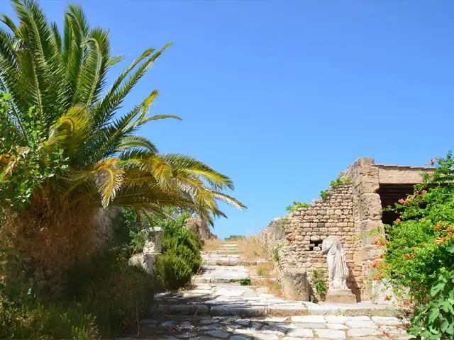 The Roman villas of Carthage