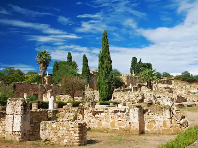 The Roman villas of Carthage