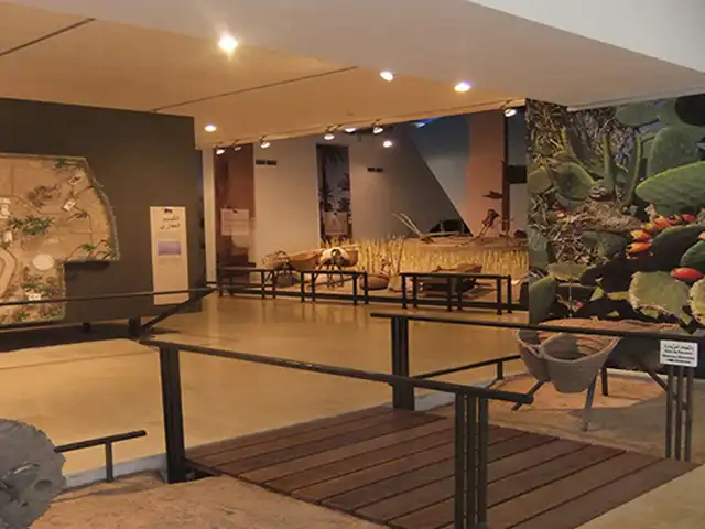 Sidi Amor Abada Museum