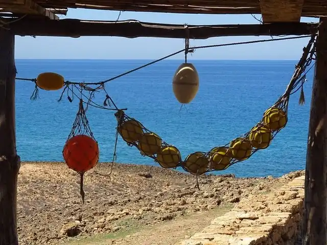 French Counter of Sidi Mechreg