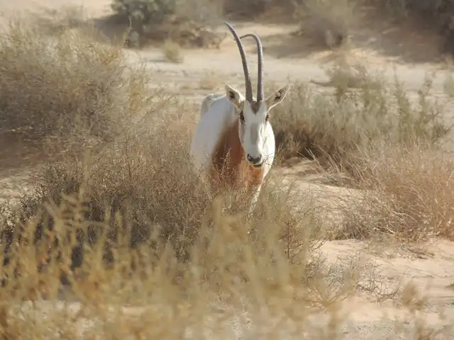 Sidi Toui National Park