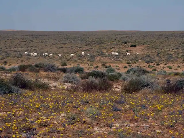 Sidi Toui National Park