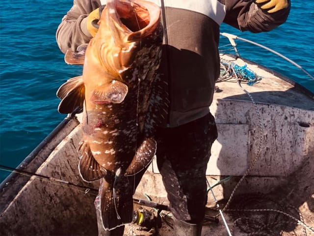 Fishing Trip in Djerba