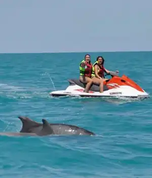 Activities in Djerba