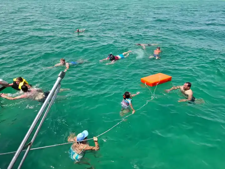 Catamaran Cruise