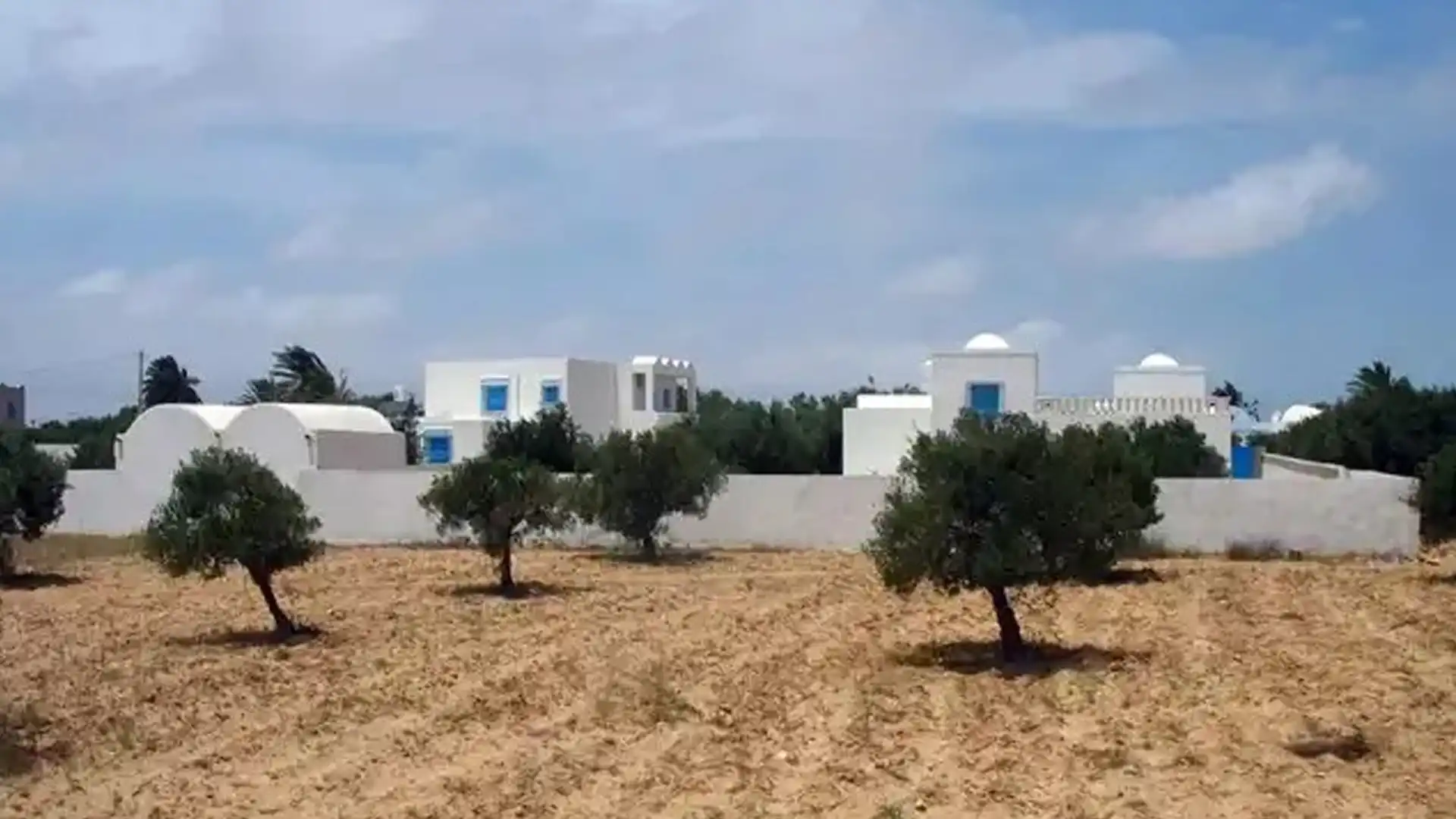 The Island of Djerba