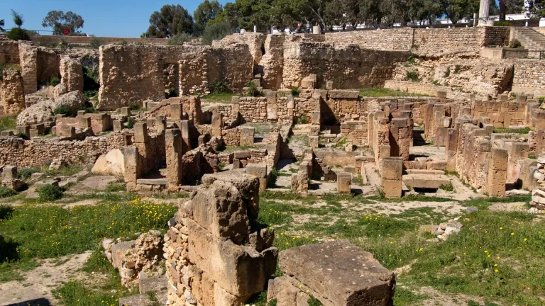 The Magon district