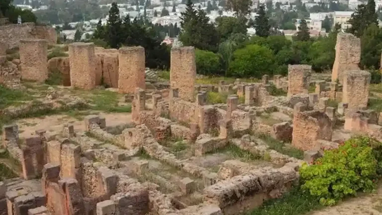 The Magon district